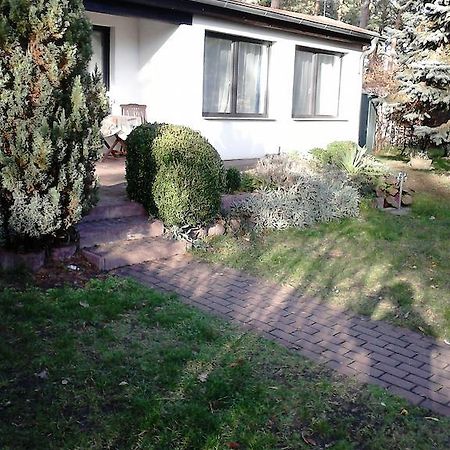 Ferienhaus Pauline Am See Müllrose Oda fotoğraf