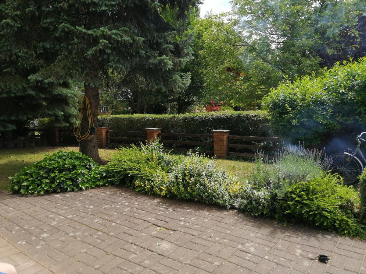 Ferienhaus Pauline Am See Müllrose Dış mekan fotoğraf